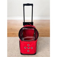AyrStore Beylini Tekerlekli Kedi Köpek Taşıma Çantası Fileli Şeffaf Yıkanabilir Evcil Hayvan Taşıma Çantası