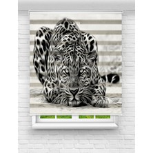 MAS Asil Kaplan Baskılı Zebra Perde | Güçlü ve Şık Kaplan Desenli Perde