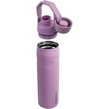Storemax Aerolight Iceflow Içecek Şişesi, Lila, 0.60 Litre