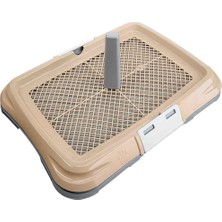 Amazon Pet Amazon Köpek Çiş Eğitim Seti Bej L