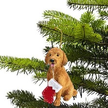 Storemax Sandicast Süslemeli Goldendoodle Süsü, Çok Renkli (XSO24201)