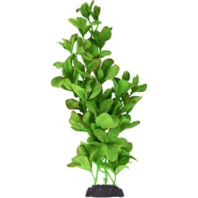 Storemax Underwater Treasures Ipek Bacopa Monnieri - 30,48 cm