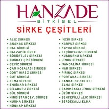 Storemax Hanzade Bitkisel Elma + Alıç + Enginar Sirkesi 500 ml 3'lü Set Doğal Fermantasyon Içilebilir Katkısız Cam Şişe