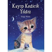 Kayıp Kedicik Yıldız