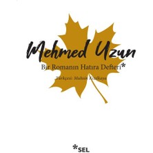 Bir Romanın Hatıra Defteri