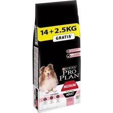 AyrStore Medium Somonlu Kuru Köpek Maması, Yetişkin, 14 kg + 2.5 kg Hediye