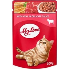AyrStore Soslu Dana Etli Pouch Kedi Maması, 100GR, 24 Adet