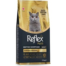 AyrStore Plus British Shorthair Yetişkin Kedi Mamasi 1.5 kg