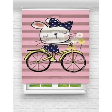 MAS Sevimli Bisiklet Binen Kedi Baskılı Zebra Perde | Çocuk Odası Için