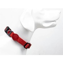 AyrStore Boyun Tasmaları (Small, Prısm)