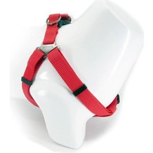 AyrStore Step-In Köpek Göğüs Tasması Sağlam Ayarlanabilir ve Kolay Takılabilir (Kırmızı, Xsmall