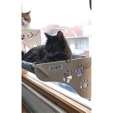 AyrStore Cama Asılan Kedi Yğı Vantuzlu