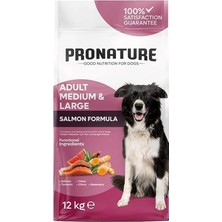 AyrStore Derma Shine Somonlu ve Pirinçli Yetişkin Köpek Maması 12 kg