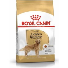 AyrStore Golden Retriever Kuru Köpek Maması, Yetişkin, 12 kg