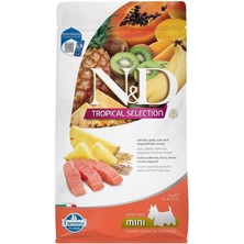 AyrStore Nd N&d Tropical Selection Somonlu ve Tropikal Meyveli Mini Irk Yetişkin Köpek Maması 1,5 kg