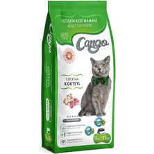 AyrStore Yetişkin Kedi Maması Kokteyl 15 kg