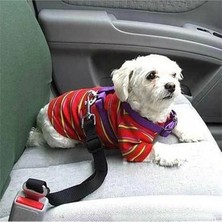 AyrStore Köpek Emniyet Kemeri ve Gezdirme Tasması - Tüm Araçlara Uyumlu - Köpek Araba Seyahat Kemeri