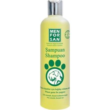 AyrStore Buğday Tohumu Özlü Köpek Şampuanı 300 ml