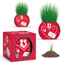 Storemax Aşk Temalı 6'lı Çim Adam Bitki Yetiştirme Seti – Romantik ve Hediye