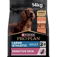 AyrStore Large Athletic Adult Somonlu Köpek Maması 14 kg