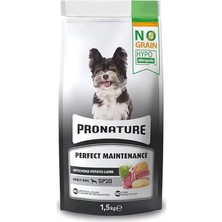 AyrStore Hypo-Allergenic Tahılsız Yetişkin Köpek Maması Kuzu, Enginar ve Patatesli 1,5 kg