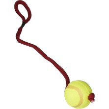 AyrStore Köpek Oyuncağı , Ipli Tenis Topu 6cm / 50CM
