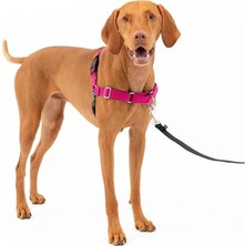 AyrStore Easy Walk No-Pull Köpek Göğüs Tasması, Çekmeyi Önlemeye Yardımcı, Kontrolü Ele Alın ve