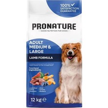 AyrStore Daily Protect Yetişkin Köpek Maması Kuzu ve Pirinçli 12 kg