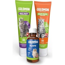 AyrStore Kedi Süper Set (Muti Paste & Malt Paste & Plus B)