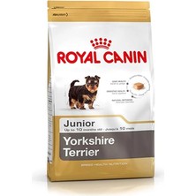 AyrStore Yorkshire Junior Yavru Köpek Maması, 1,5 kg