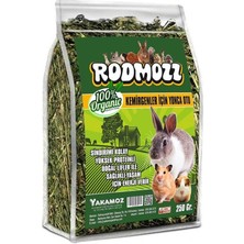 AyrStore Rodmozz Orijinal Gerçek Yonca Kemirgen Otu 250 gr Kilitli Paket