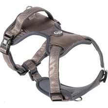 AyrStore & Molly Urban Pets Matrix 2.0 Akıllı Künyeli Sport Köpek Göğüs Tasması – Üstün Kontrol ve Konfor