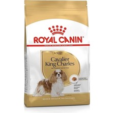 AyrStore Cavalier King Charles Adult Köpek Maması 3 kg