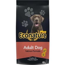 AyrStore Plus Yetişkin Köpek Mamasi Somonlu 15 kg