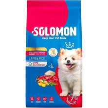 AyrStore Yetişkin Küçük Irk Kuzu'lu Süper Premium Köpek Maması 9 kg Hipoalerjenik - Düşük Tahıllı -
