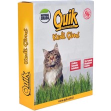 AyrStore Gerçek Topraklı Kedi Çimi