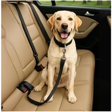 AyrStore Ayarlanabilir Evcil Hayvan Araç Emniyet Kemeri – Kedi ve Köpekler Için Oto Emniyet Tasması