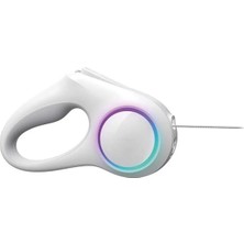 AyrStore Ledli Köpek Tasması 3m