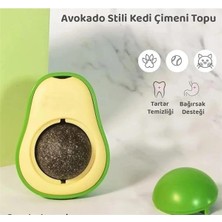 AyrStore Avokado Kedi Nanesi Kedi Otu Topu Kedi Oyuncağı Yapışkanlı Catnip (1 Adet)