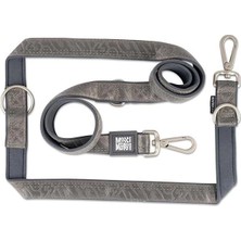 AyrStore & Molly Urban Pets Matrix 2.0 Çok Fonksiyonlu Köpek Gezdirme Kayışı (Stone, S)