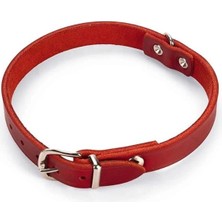 AyrStore Deri Evcil Hayvan Boyun Tasması, 27 Cm, Kırmızı
