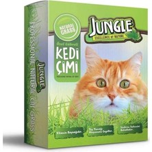 AyrStore Özel Gübreli Kedi Çimi Fileli, 14X14 cm