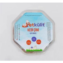 AyrStore Petkülit Kedi Çimi - Sekizgen