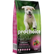 AyrStore Perfect Start, Yavru Köpekler Için, Hipoalerjenik, Kuzu Etli ve Pirinçli Kuru Mama, 12 kg