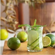 AyrStore Lune 6'lı Su Bardağı Seti, 225 cc