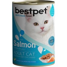 AyrStore Yetişkin Kediler Için, Taze Somon Parça Etli ve Soslu Yaş Mama, 400 G