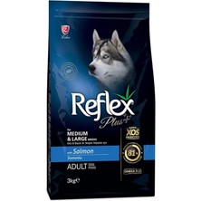 AyrStore Plus Orta&büyük Irk Somonlu Yetişkin Köpek Maması 3 kg