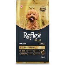 AyrStore Plus Poodle Yetişkin Köpek Maması 2 kg