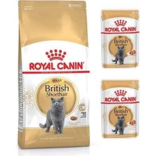 AyrStore Adult Yetişkin British Shorthair Kedi Maması 2 kg +  Yetişkin British