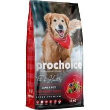 AyrStore Fit & Healthy Yetişkin Köpekler Için, Hipoalerjenik, Kuzu Etli ve Pirinçli Kuru Mama, 12